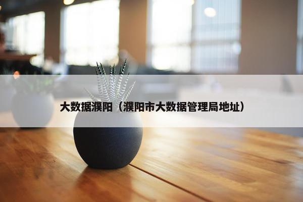 大数据濮阳（濮阳市大数据管理局地址）