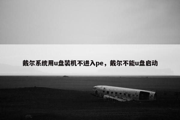 戴尔系统用u盘装机不进入pe，戴尔不能u盘启动