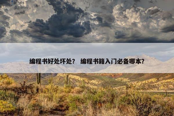 编程书好处坏处？ 编程书籍入门必备哪本？
