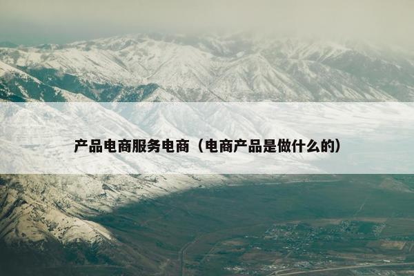 产品电商服务电商（电商产品是做什么的）