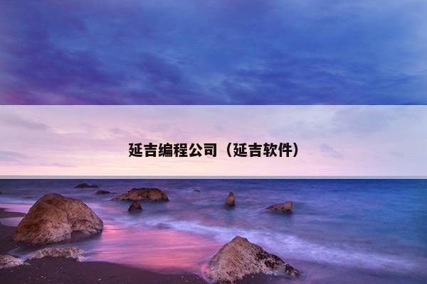 延吉编程公司（延吉软件）