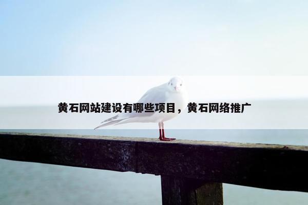 黄石网站建设有哪些项目，黄石网络推广