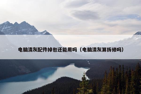电脑清灰配件掉包还能用吗（电脑清灰算拆修吗）