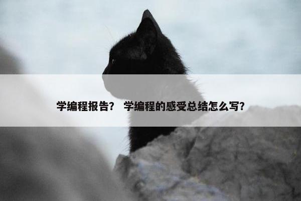 学编程报告？ 学编程的感受总结怎么写？