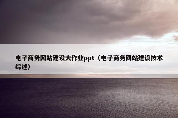 电子商务网站建设大作业ppt（电子商务网站建设技术综述）