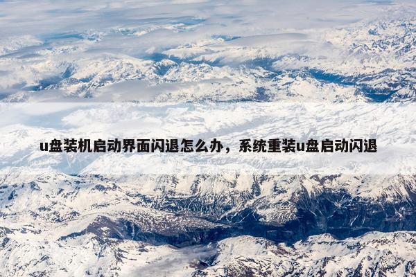 u盘装机启动界面闪退怎么办，系统重装u盘启动闪退