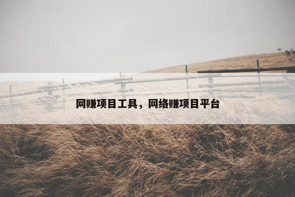 网赚项目工具，网络赚项目平台