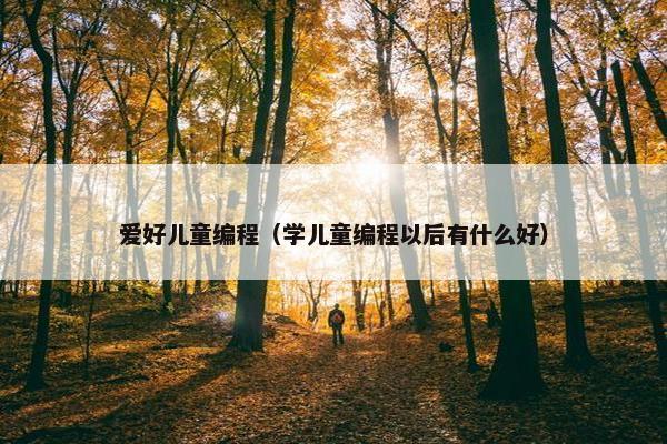 爱好儿童编程（学儿童编程以后有什么好）