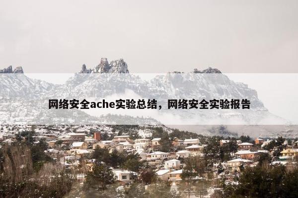 网络安全ache实验总结，网络安全实验报告