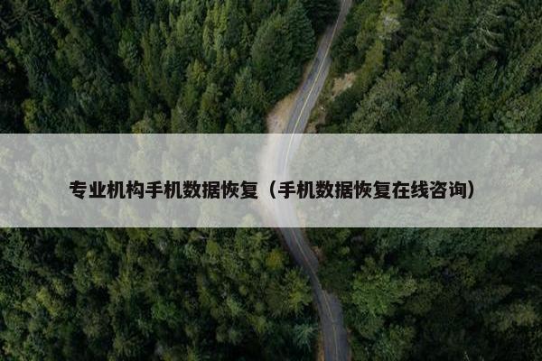 专业机构手机数据恢复（手机数据恢复在线咨询）