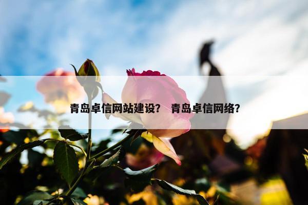 青岛卓信网站建设？ 青岛卓信网络？