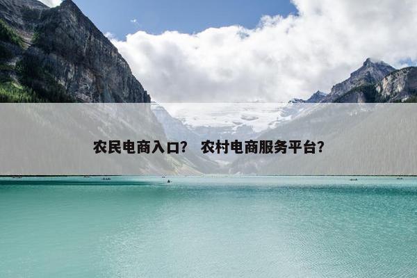 农民电商入口？ 农村电商服务平台？