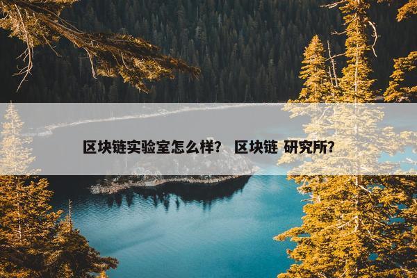 区块链实验室怎么样？ 区块链 研究所？
