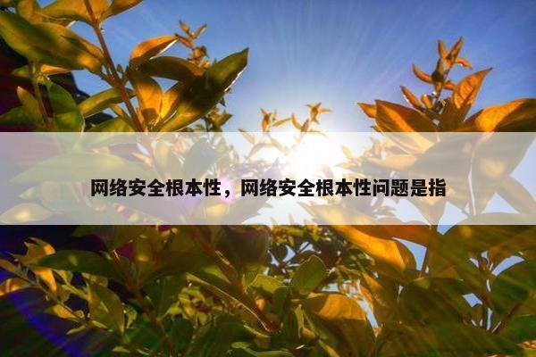 网络安全根本性，网络安全根本性问题是指