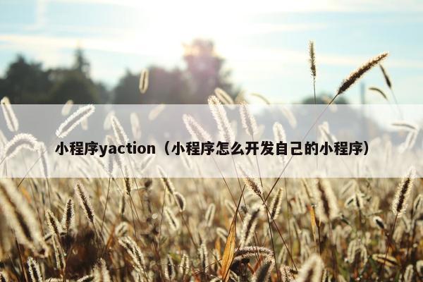 小程序yaction（小程序怎么开发自己的小程序）