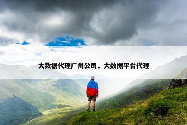 大数据代理广州公司，大数据平台代理