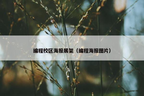 编程校区海报展架（编程海报图片）