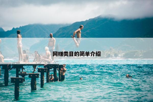 网赚类目的简单介绍
