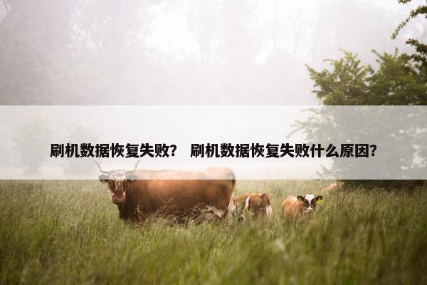 刷机数据恢复失败？ 刷机数据恢复失败什么原因？