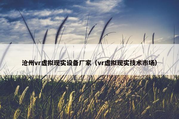 沧州vr虚拟现实设备厂家（vr虚拟现实技术市场）