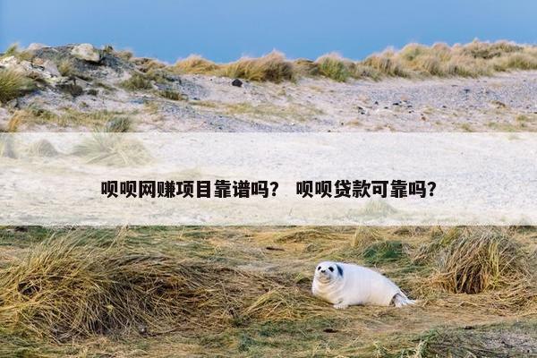 呗呗网赚项目靠谱吗？ 呗呗贷款可靠吗？