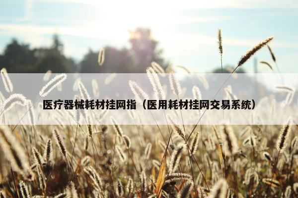 医疗器械耗材挂网指（医用耗材挂网交易系统）