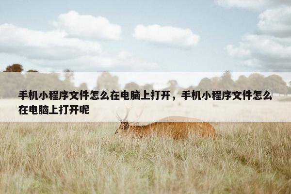 手机小程序文件怎么在电脑上打开，手机小程序文件怎么在电脑上打开呢
