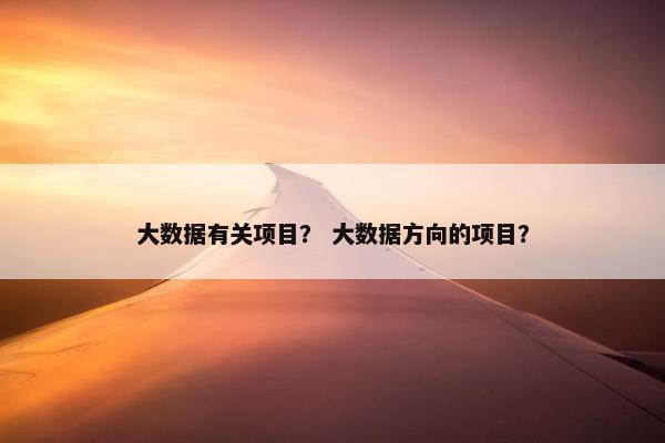 大数据有关项目？ 大数据方向的项目？