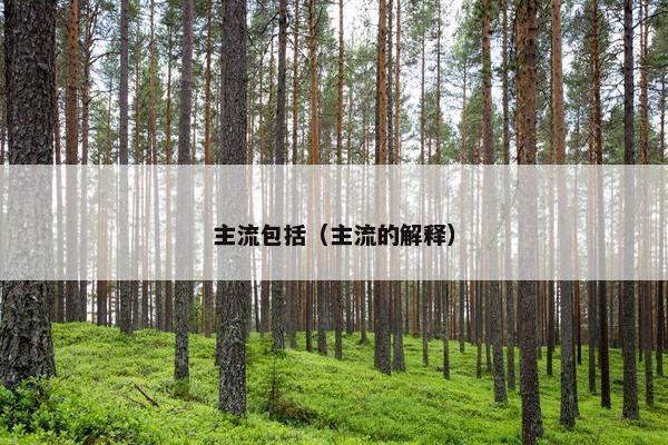 主流包括（主流的解释）