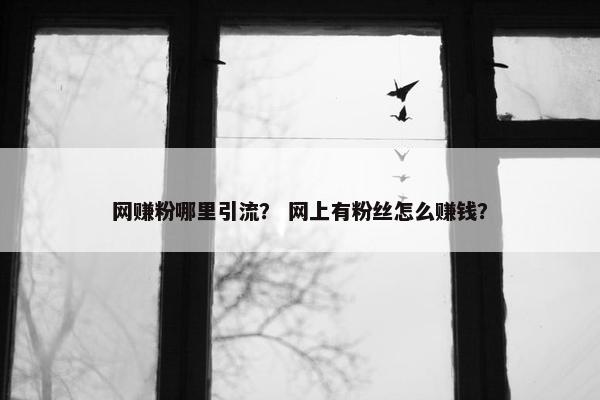 网赚粉哪里引流？ 网上有粉丝怎么赚钱？