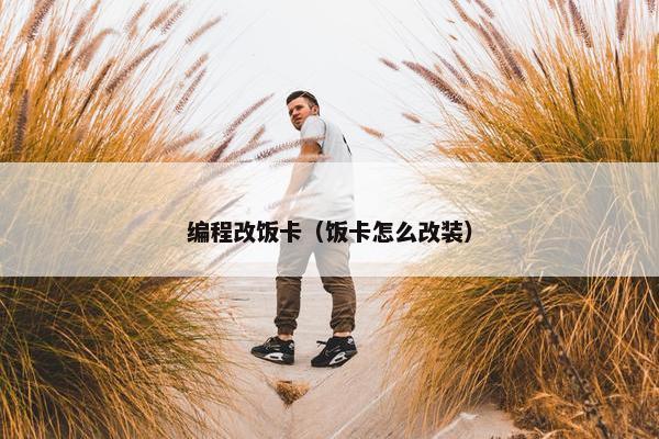 编程改饭卡（饭卡怎么改装）