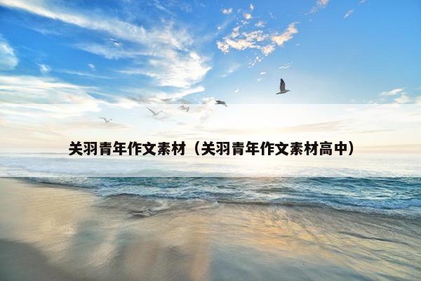 关羽青年作文素材（关羽青年作文素材高中）
