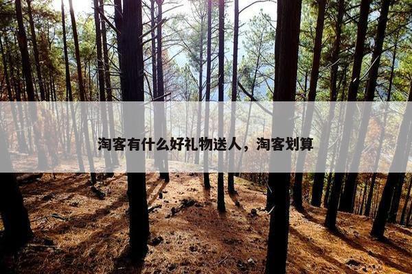 淘客有什么好礼物送人，淘客划算