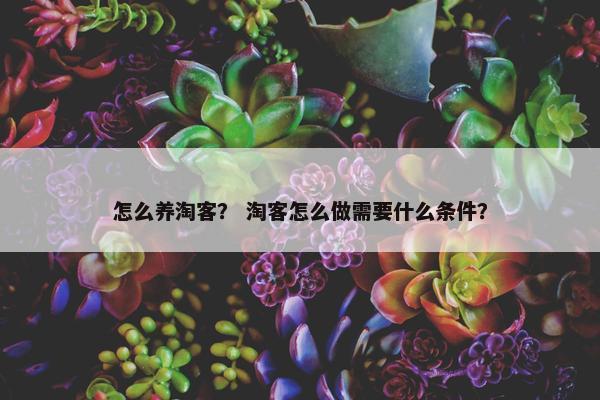 怎么养淘客？ 淘客怎么做需要什么条件？