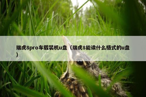 瑞虎8pro车载装机u盘（瑞虎8能读什么格式的u盘）