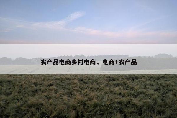 农产品电商乡村电商，电商+农产品