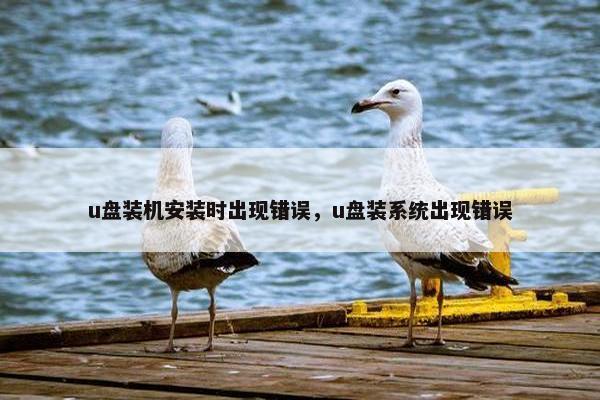 u盘装机安装时出现错误，u盘装系统出现错误