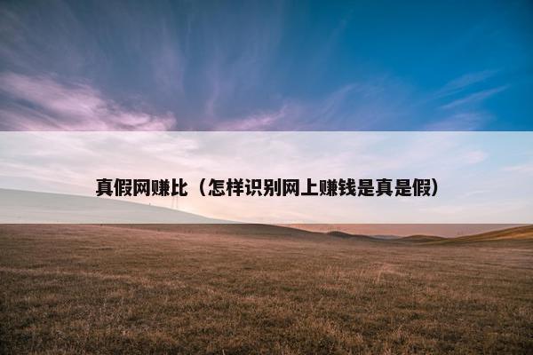 真假网赚比（怎样识别网上赚钱是真是假）
