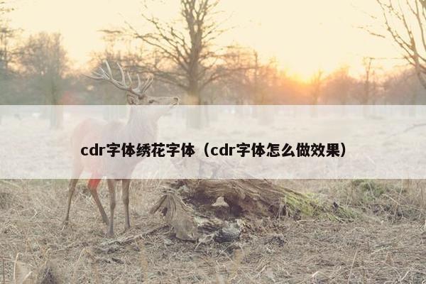 cdr字体绣花字体（cdr字体怎么做效果）
