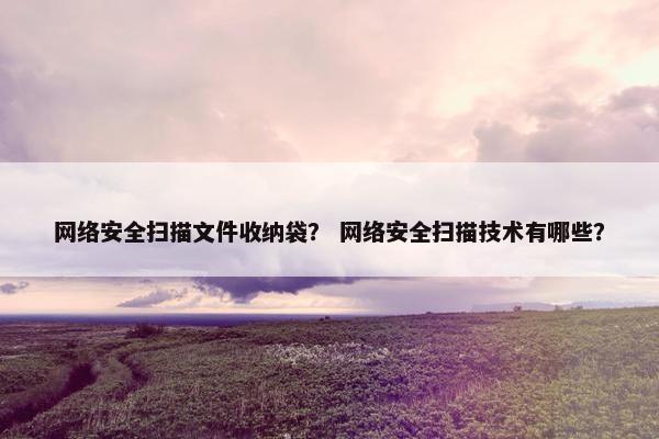 网络安全扫描文件收纳袋？ 网络安全扫描技术有哪些？