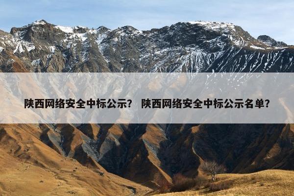 陕西网络安全中标公示？ 陕西网络安全中标公示名单？