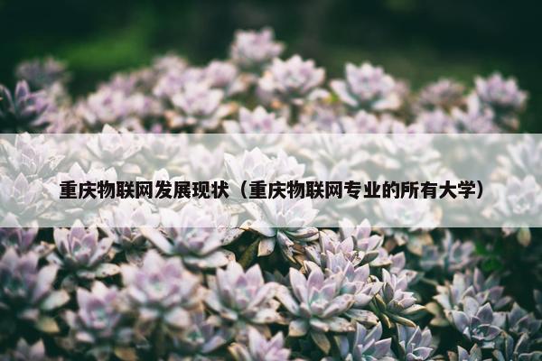 重庆物联网发展现状（重庆物联网专业的所有大学）
