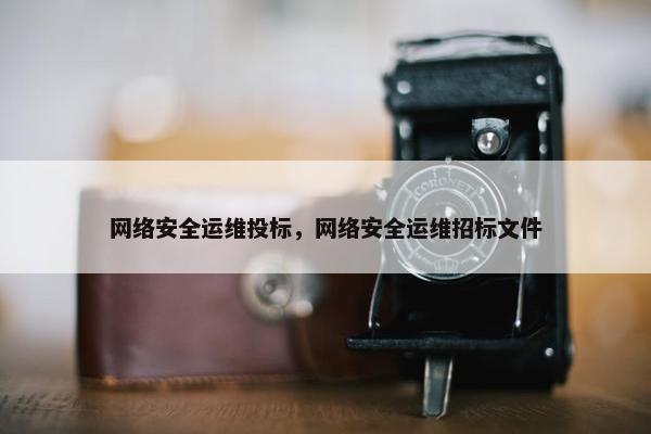 网络安全运维投标，网络安全运维招标文件