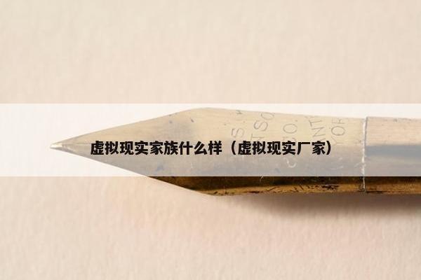 虚拟现实家族什么样（虚拟现实厂家）
