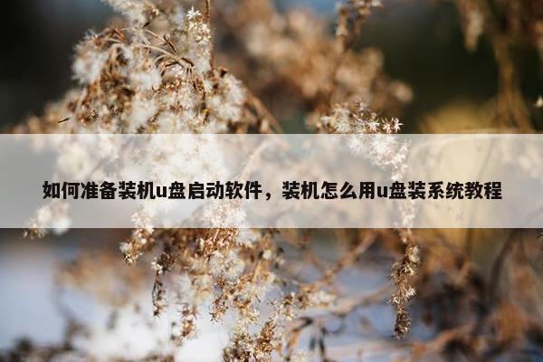如何准备装机u盘启动软件，装机怎么用u盘装系统教程
