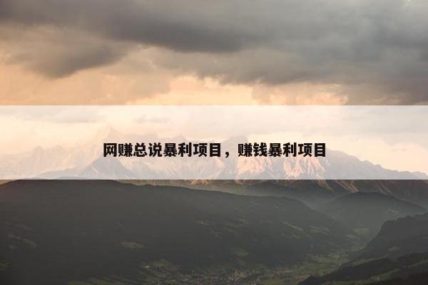 网赚总说暴利项目，赚钱暴利项目