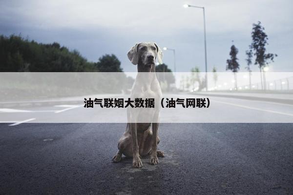 油气联姻大数据（油气网联）