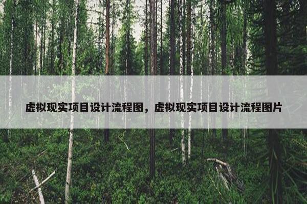 虚拟现实项目设计流程图，虚拟现实项目设计流程图片