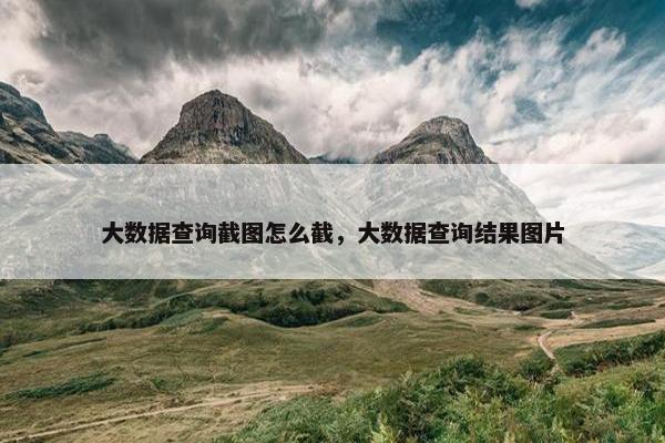 大数据查询截图怎么截，大数据查询结果图片