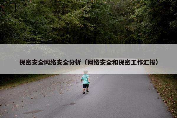 保密安全网络安全分析（网络安全和保密工作汇报）
